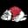 Gardner-Webb